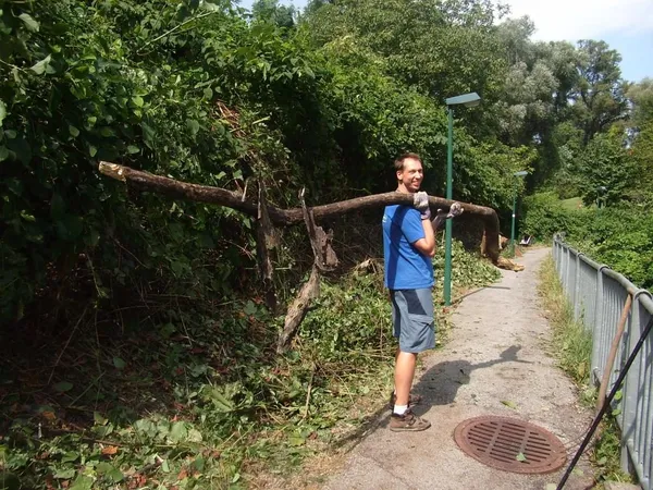 "Entkrautung" der Station, Foto 2