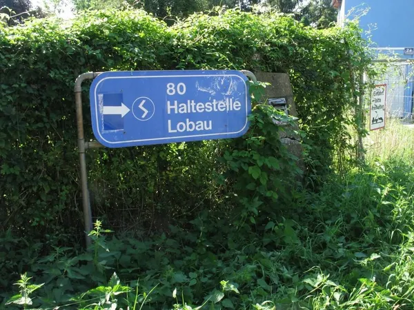 "Entkrautung" der Station, Foto 3