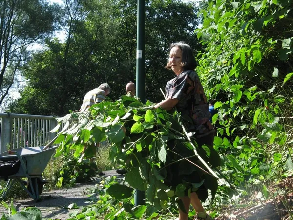 "Entkrautung" der Station, Foto 29