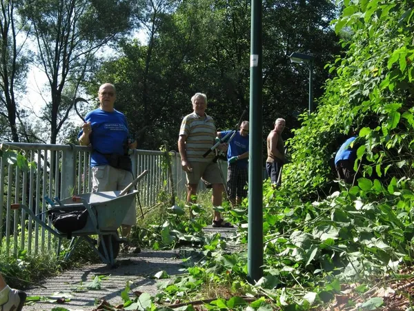 "Entkrautung" der Station, Foto 30