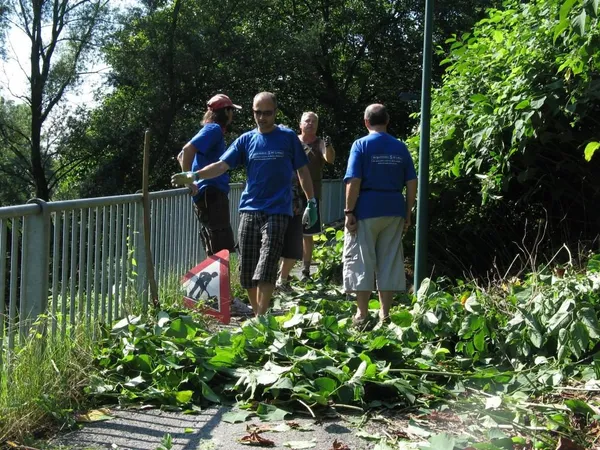 "Entkrautung" der Station, Foto 39