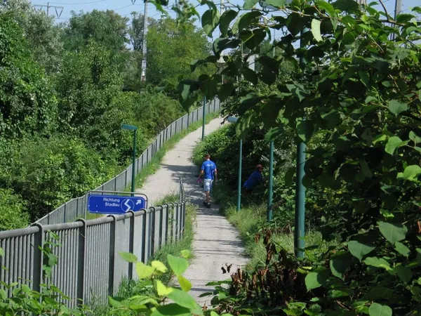 "Entkrautung" der Station, Foto 48