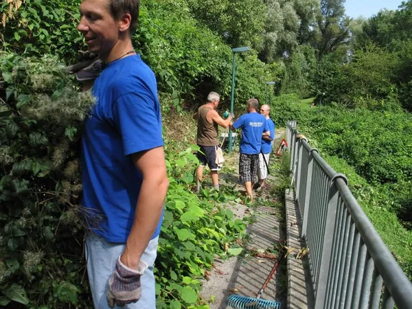 "Entkrautung" der Station, Foto 54