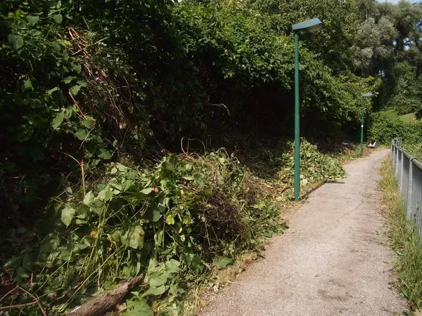 "Entkrautung" der Station, Foto 57